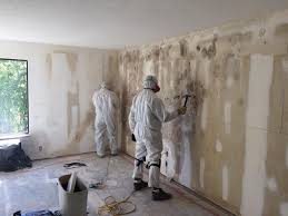 Best Black Mold Removal in Weissport East, PA